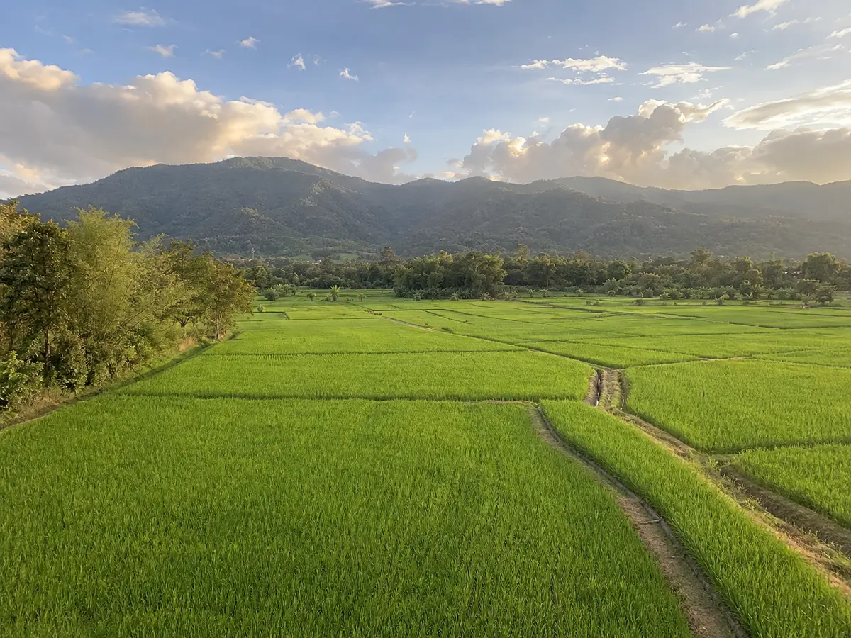 ที่ดินแปลงสวย วิวภูเขา